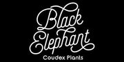 Black Elephant